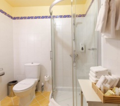 Двухместный полулюкс двуспальная кровать в Губернский