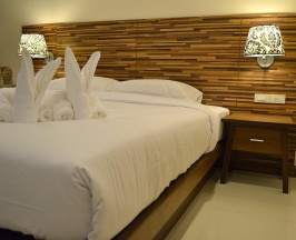Одноместный номер Standard в D Xpress Apartment