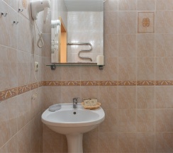 Комфорт (Улучшенный однокомнатный стандартный 2-х местный номер с балконом) в Odeon