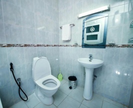 Одноместный номер Deluxe двуспальная кровать в Muscat International Hotel