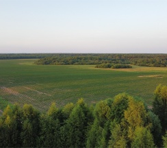 Однокомнатный люкс с 1 двуспальной кроватью и джакузи в Брейтово
