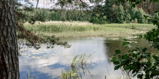 Бурцево: Глэмпинг Villy uley volga