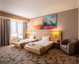 Двухместный номер Deluxe двуспальная кровать в RENION PARK HOTEL