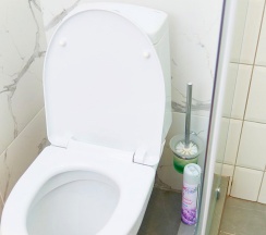 Стандарт в Дом Дипнера