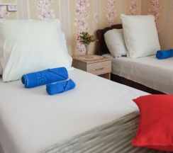 Трёхместный номер Economy в Maxrooms дача Левитана под Плёсом