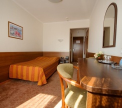 Одноместный номер Стандартный односпальная кровать в Гостиница Спутник