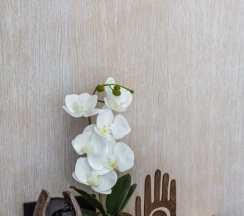 Купол с Фонтаном в Воздух