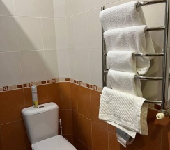 Номер стандарт с 2 односпальными кроватями в Русь