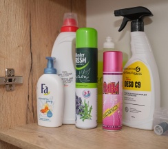 1-комнатные апартаменты студия Форест в Rasko Home