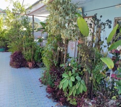 Номер Standard в Sabaydee House at Pai