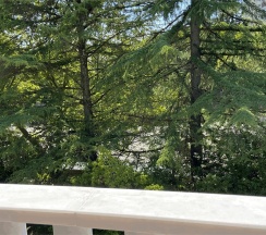 Люкс с балконом в Золотой лотос