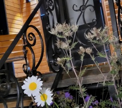 Стандарт  в Орлиный утес