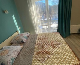 Пятиместный Стандартный номер в Бархат