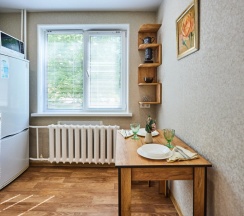 Двухместные апартаменты (двуспальная кровать) в Tolstoy Apart
