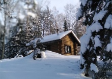 Дом с 1 спальней в Берлога