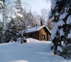 Дом с 1 спальней в Берлога