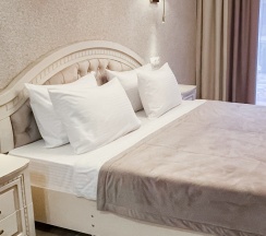 Люкс однокомнатный с террасой в Мореин