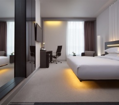 Бизнес с двуспальной кроватью в Elements Ekaterinburg Hotel
