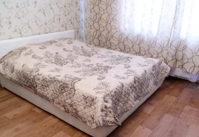 Апартаменты Атлант на улице Революции 1905 года в Воронеже