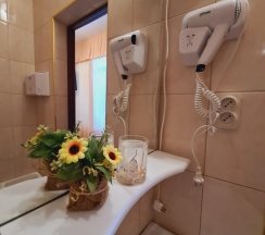 3-местный номер стандарт улучшенный в Золотой Лев