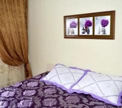 Двухместный номер Standard двуспальная кровать в Green city