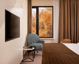 СТАНДАРТ с видом на усадьбу в Palmira Garden Hotel & SPA