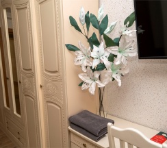 Люкс двухкомнатный в Мореин