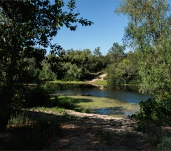 Мини-Барнхаус с видом на озеро в Река & Песок