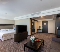 Полулюкс в Sheratonplaza Ufa Congress Hotel