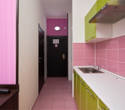 Стандарт семейный ПЛЮС с балконом в Диса