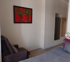 Улучшенная гостевая комната с 1 большой или 2 отдельными кроватями в На Невском