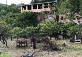 Гостевой дом Гостевой дом Лика в Гагре