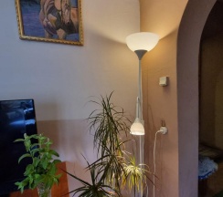 Коттедж стандарт в Олта