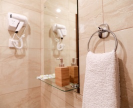 Одноместный номер в Аист