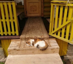 Отдельный дом - "Дом с верандой" в Ясная поляна