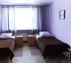 Стандартный двухместный номер с двумя раздельными кроватями в Брусника