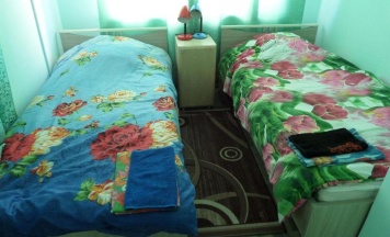 Двухместный номер Economy 2 отдельные кровати в Гостевой дом