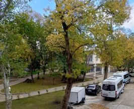 Джуниор сюит в Жемчужина моря