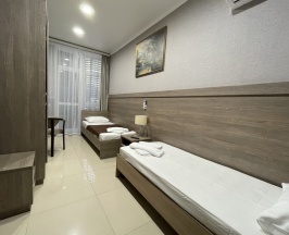 Двухместный номер Standard с балконом и с красивым видом из окна 2 отдельные кровати в Альтаир