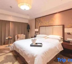 Двухместный номер Standard двуспальная кровать в Xincheng Hotel - Hohhot