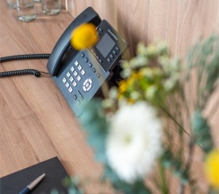 Семейный Люкс в Вилла Альпина