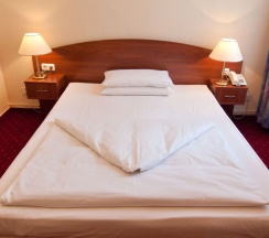 Двухместный номер Comfort двуспальная кровать в Hotel Kronprinz Hamburg