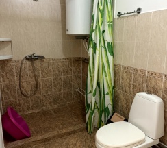 Трехместный номер с двуспальной и односпальной кроватью в Золотая рыбка