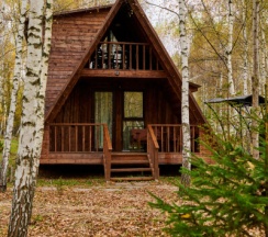 Дом №2 в Алино