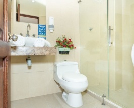 Номер Standard в Ayenda Jardin de Provenza