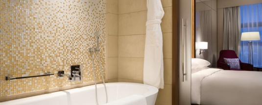 Двухместный номер с доступом в клубную гостиную 2 отдельные кровати в Hyatt Regency Moscow Petrovsky Park