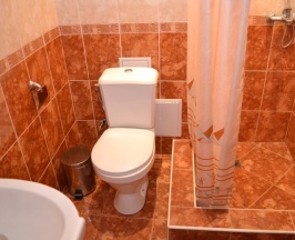 Стандартный трехместный номер в Plaza