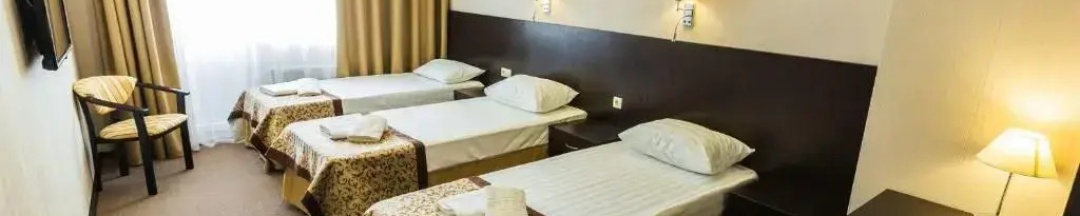 Трёхместный люкс № 3 в Метелица