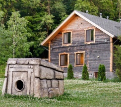 Дом в лесу в Odin House