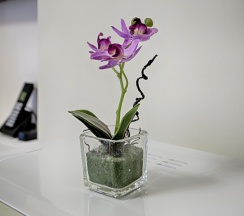 Апартаменты 14 в Exclusive Hotel&Apartments